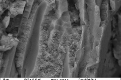 Smectite (dioctahedral)