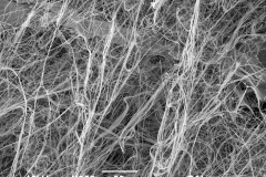 Palygorskite