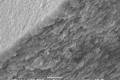 Smectite (Montmorillonite)
